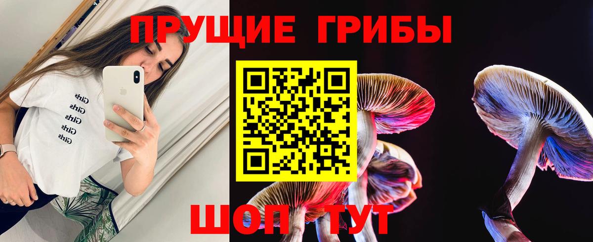 Галлюциногенные грибы MAGIC MUSHROOMS Конаково